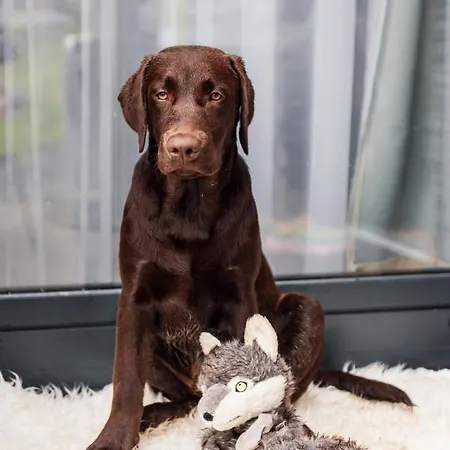 Appartement Othila , V Demanovskej Doline *