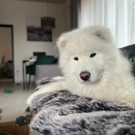 Othila , V Demanovskej Doline